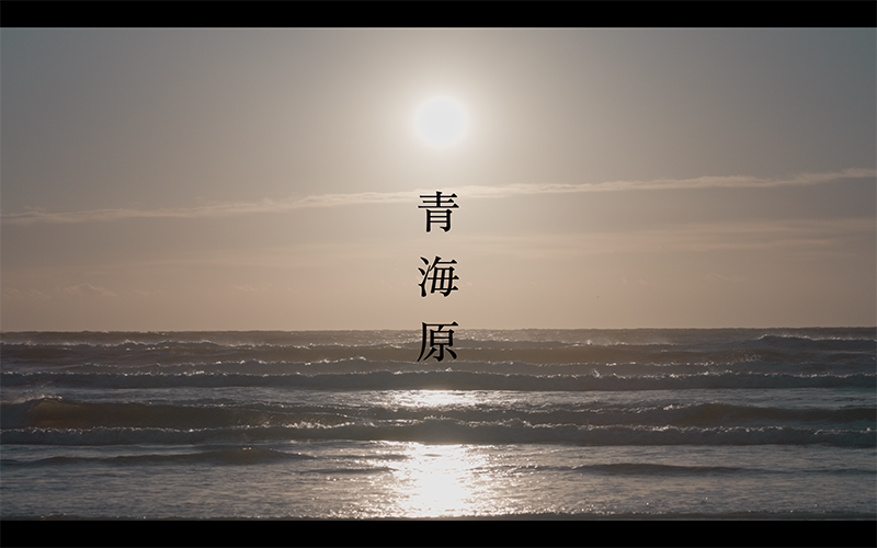 シンガーソングライター・笹川美和さんのMV『青海原』をプロモーション映像科が制作！